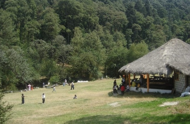  jouer dans les champs 